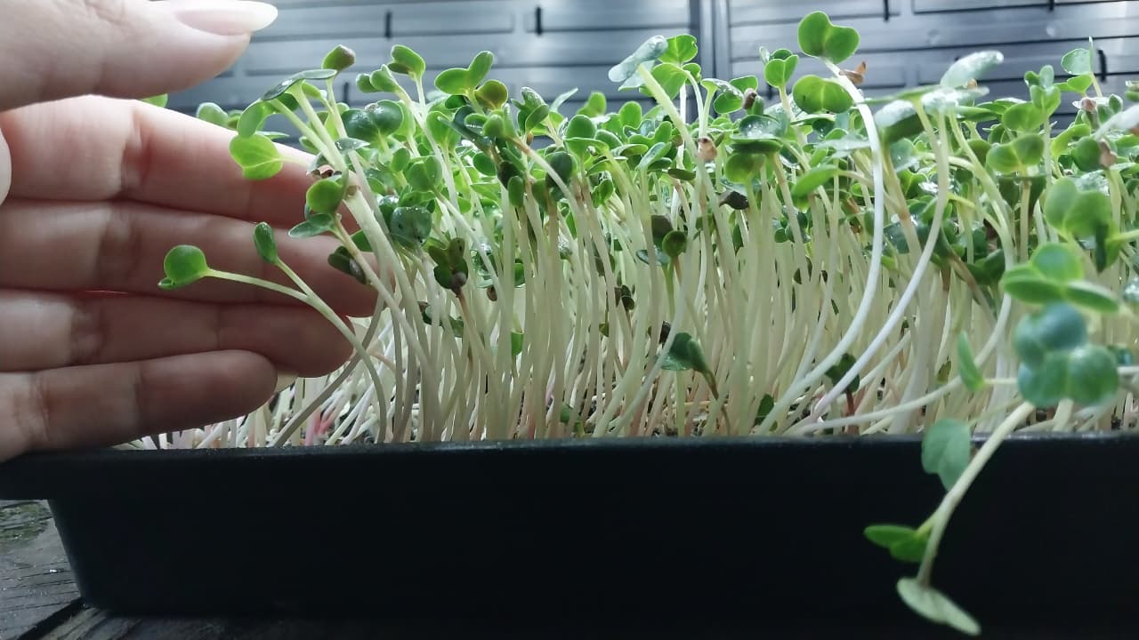 Nossa equipe trabalhando